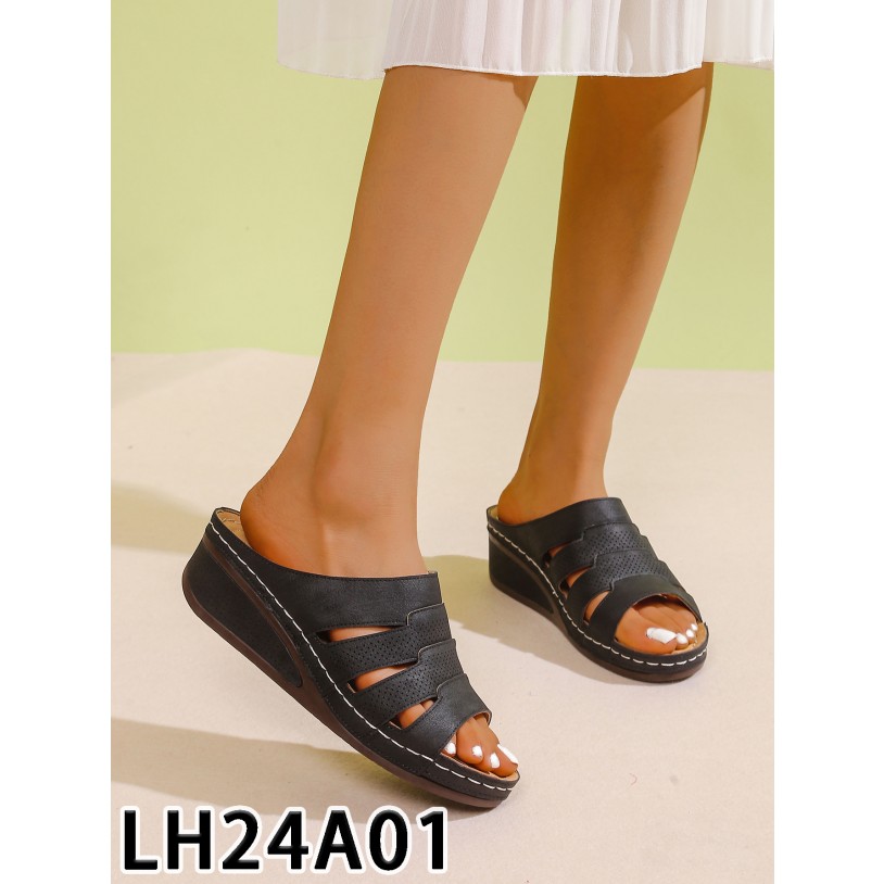 LH24A01