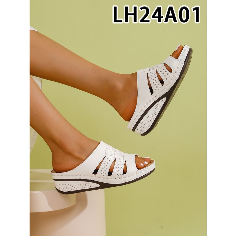 LH24A01