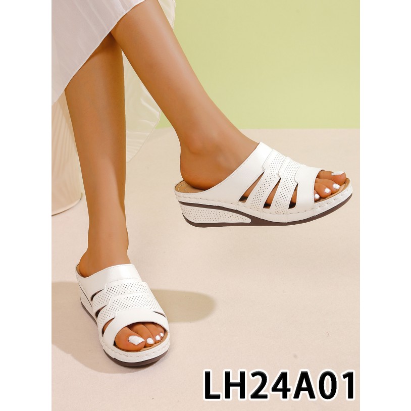 LH24A01