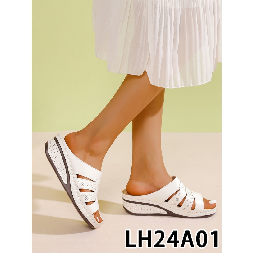 LH24A01