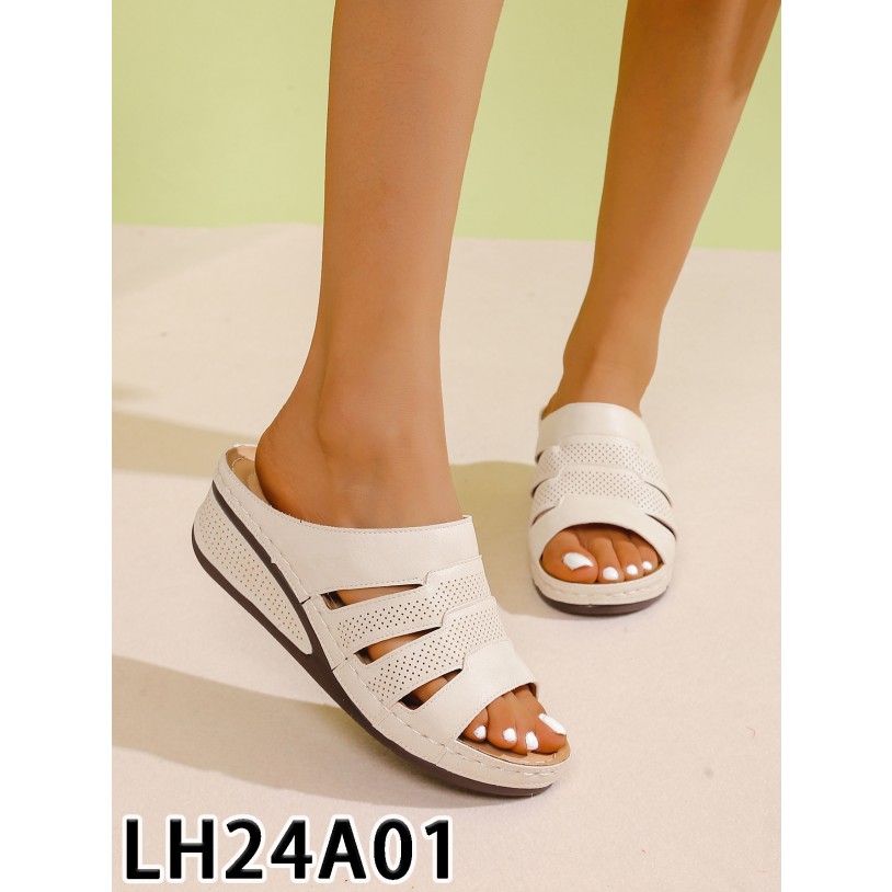 LH24A01