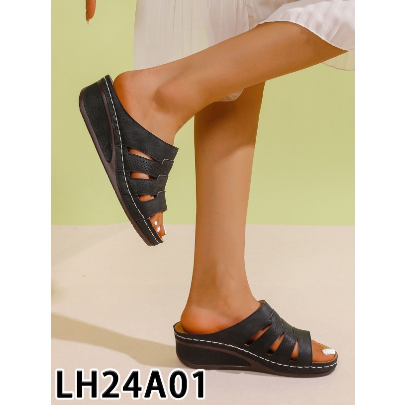 LH24A01