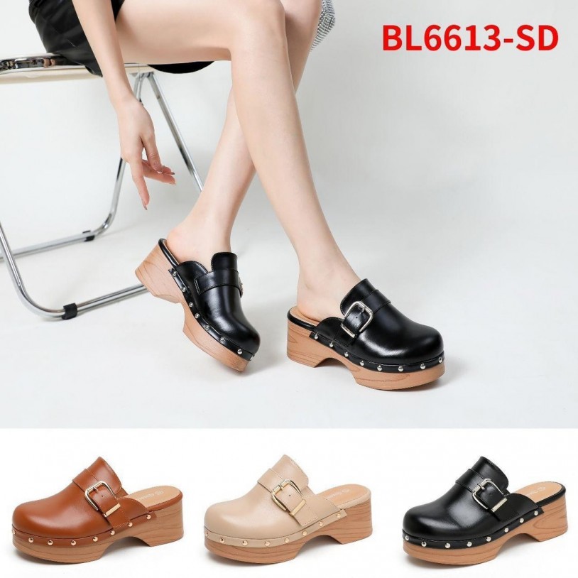 BL6613-SC