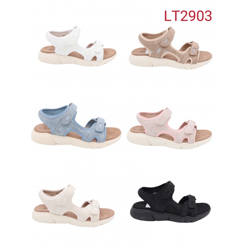 LT2903