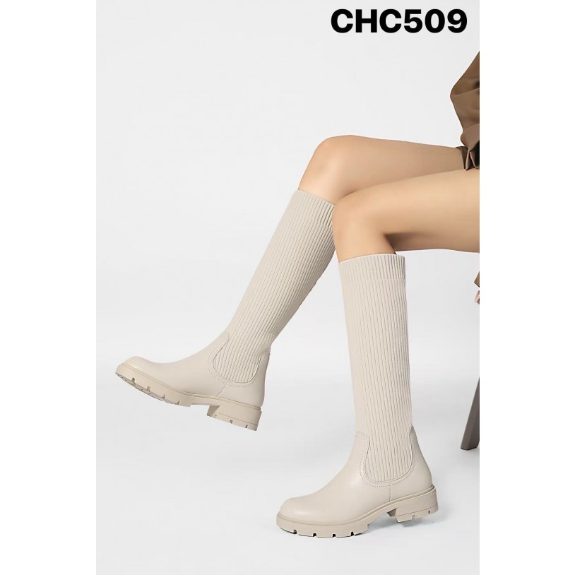 CHC509