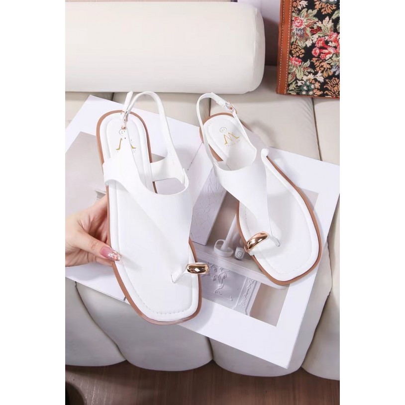 DM-7G06 Grande pointure