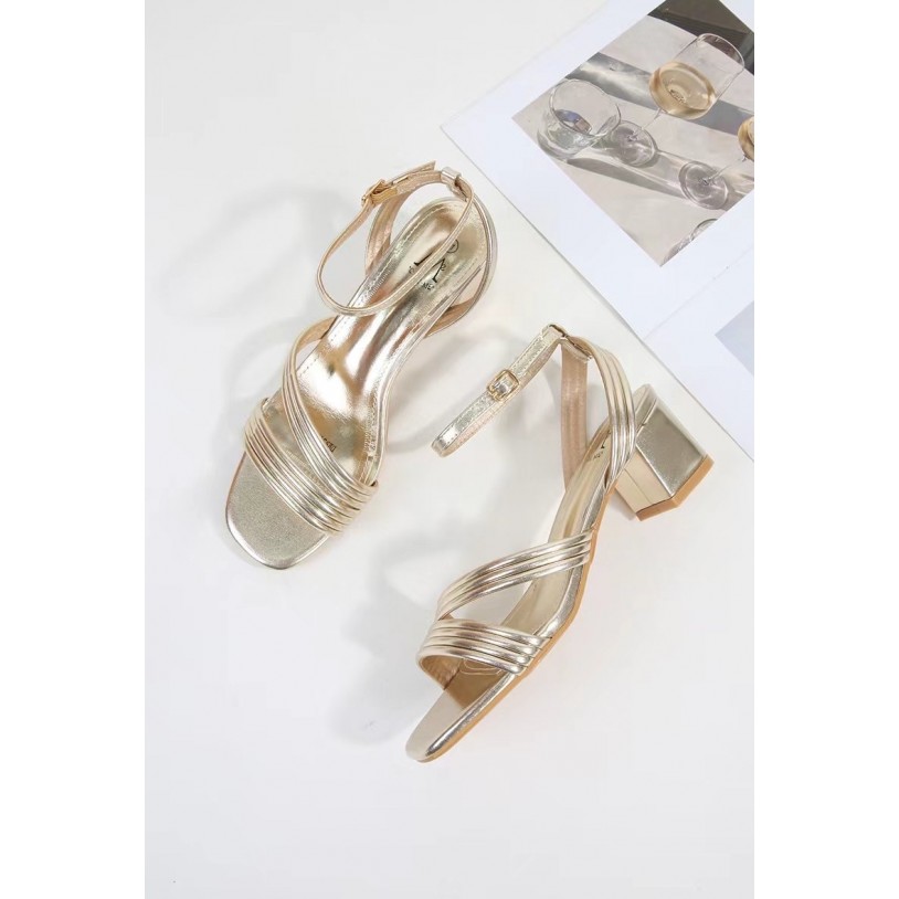 DMS312-2 Grande pointure