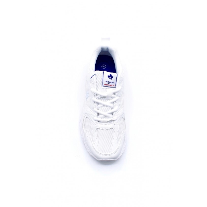 DSE009 B