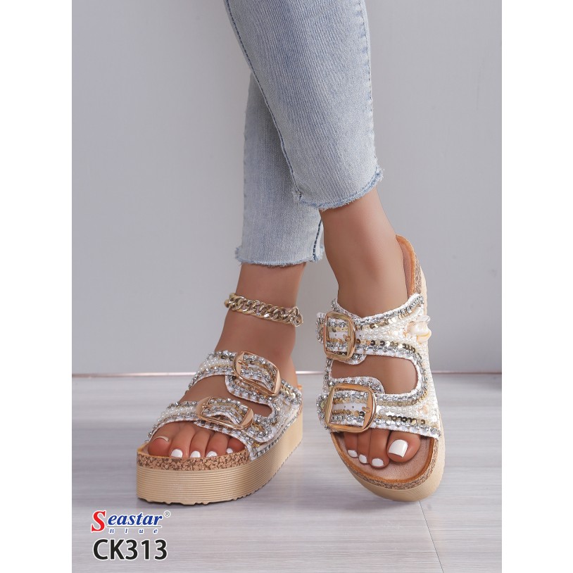 CK313