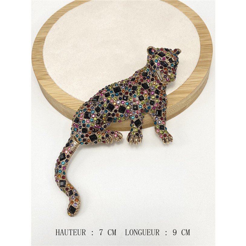BROCHE50-L1-1