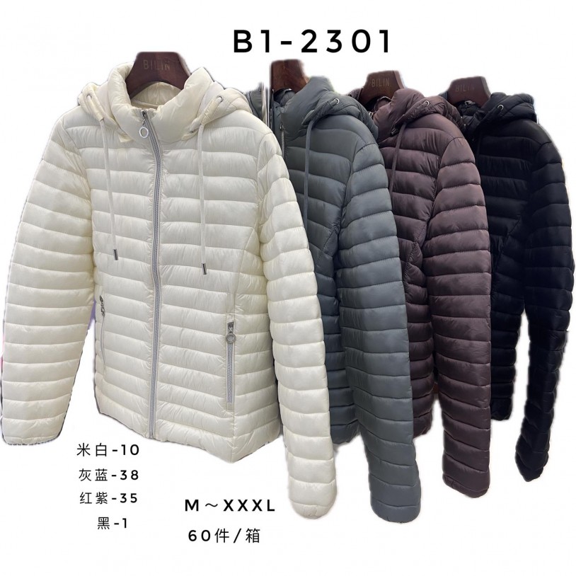 B1-2301