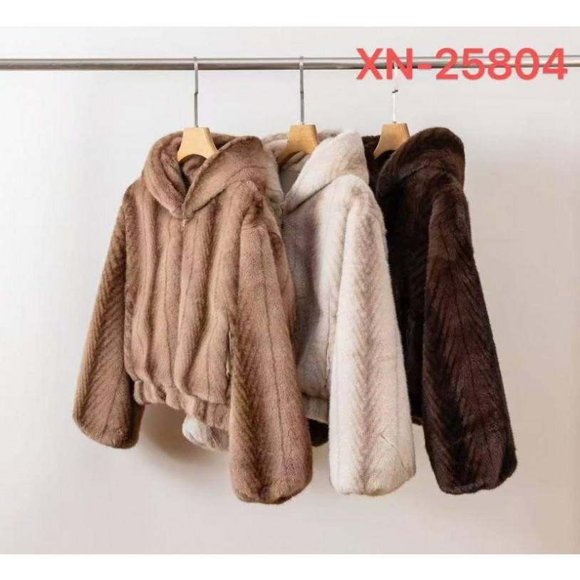 XN-25804
