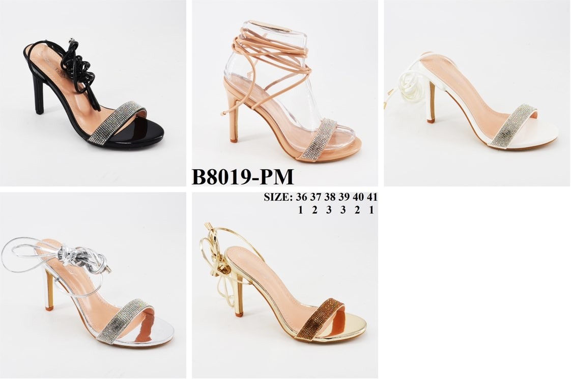 B8019-PM