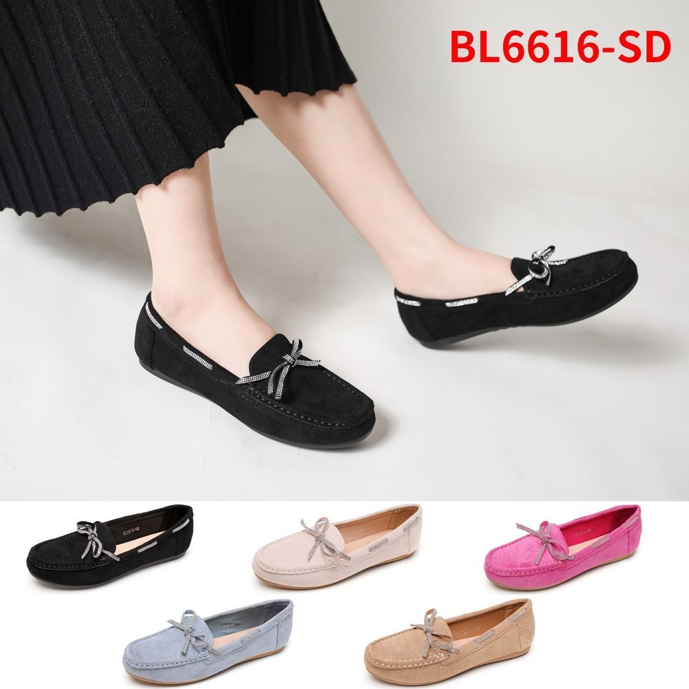 BL6616-SD