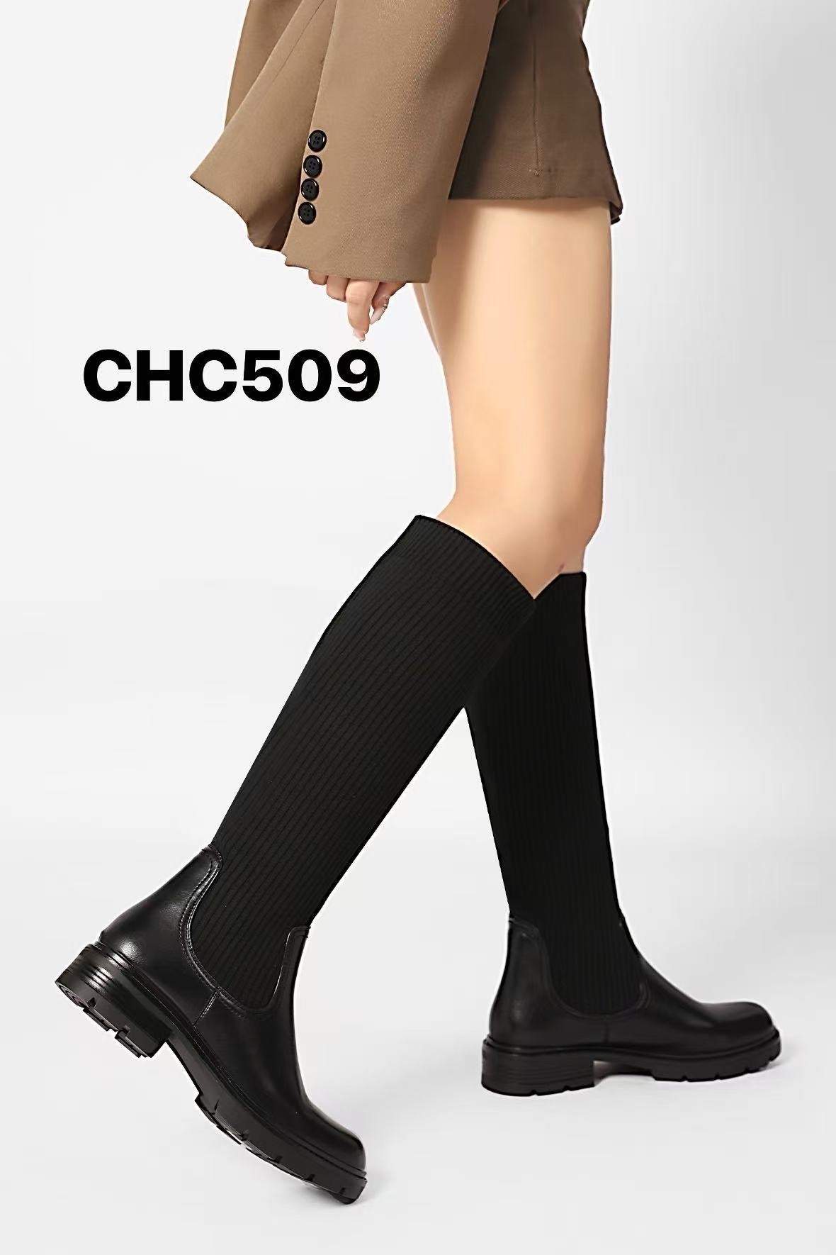 CHC509