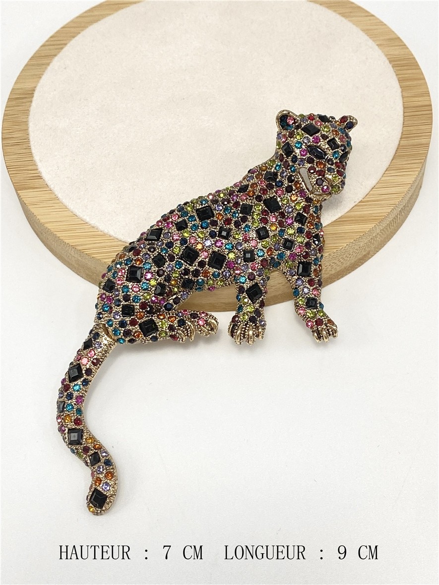 BROCHE50-L1-1