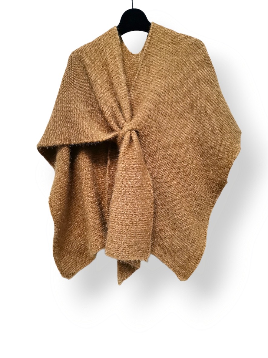 P22-234-Camel