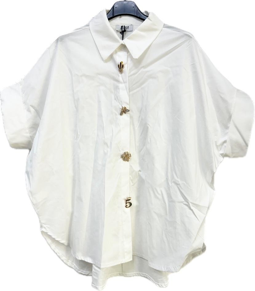 ZO16576-10 cotton