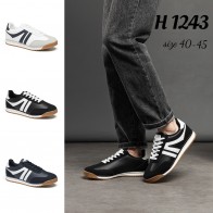 H1243