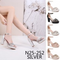 N25-252