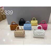 23B-5839(