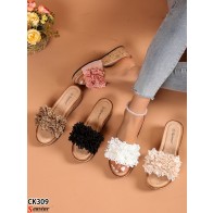 CK309