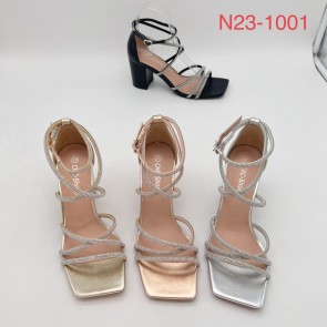 N23-1001