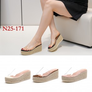 N25-171