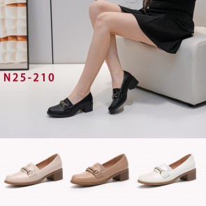 N25-210