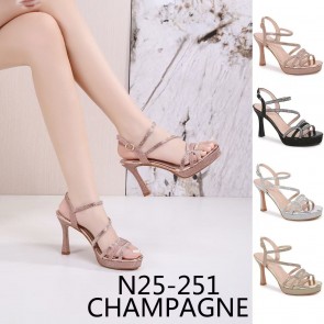 N25-251