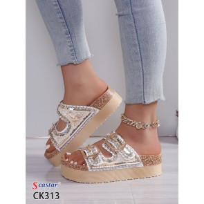 CK313