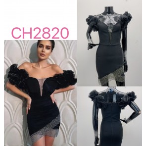 LS-CH2820