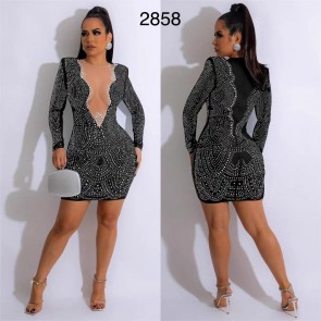 LS-CH2858