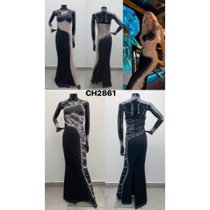 LS-CH2861