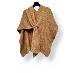 P22-234-Camel